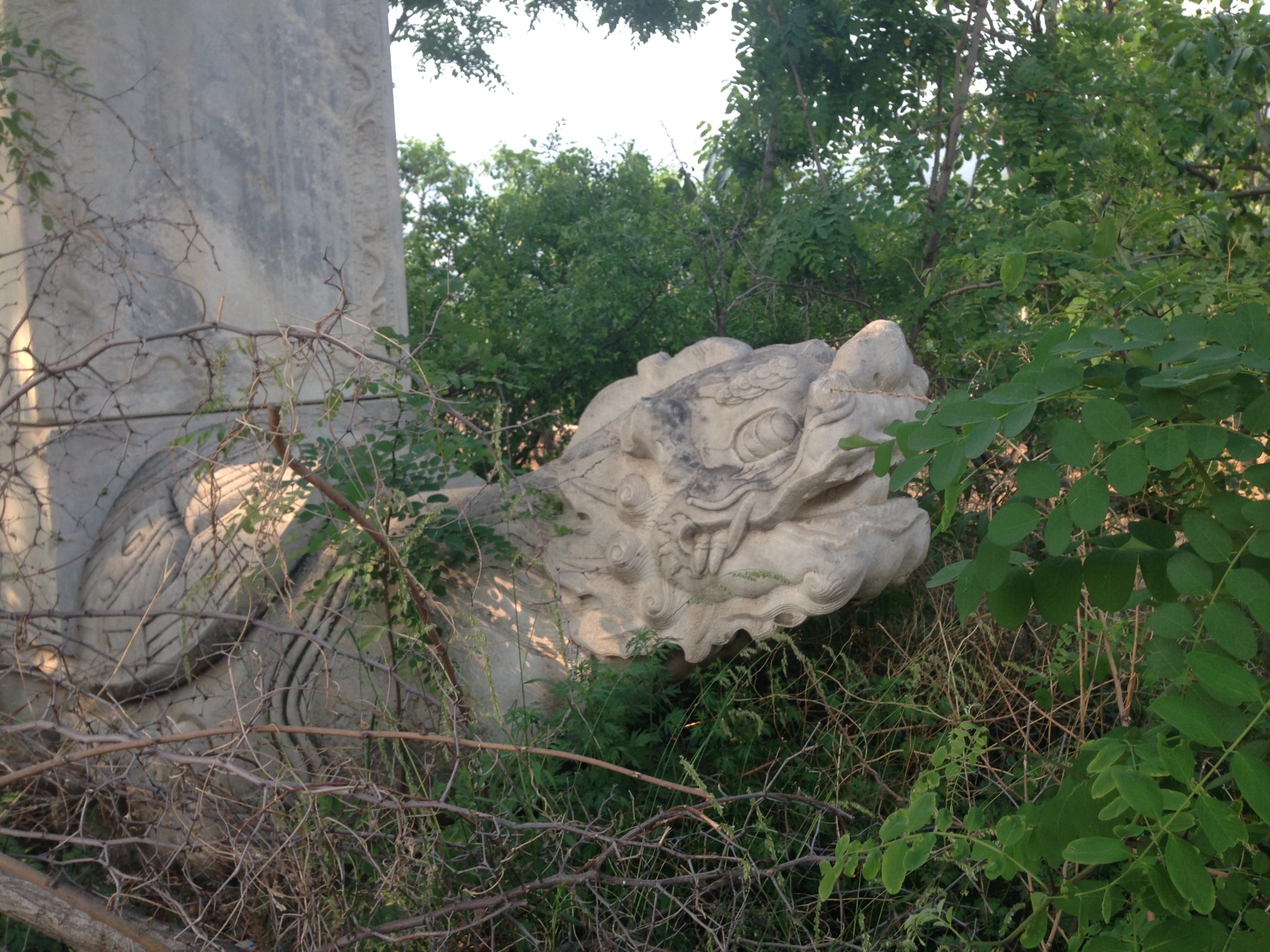 寻访果郡王墓,易县自助游攻略 - 马蜂窝