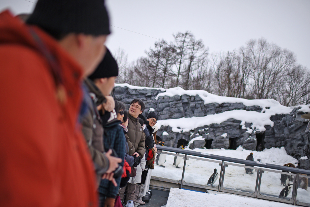 北海道自助遊攻略