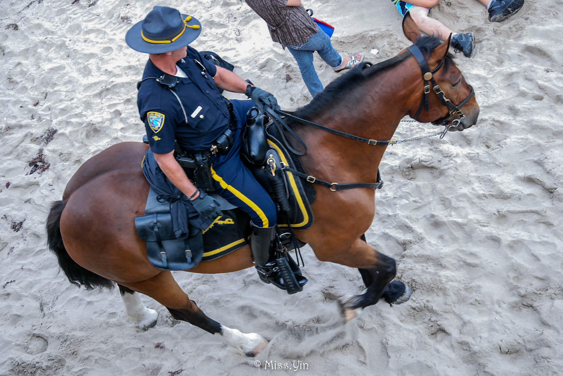 当地华人带你玩| 洛杉矶最具代表性一日游这样安排