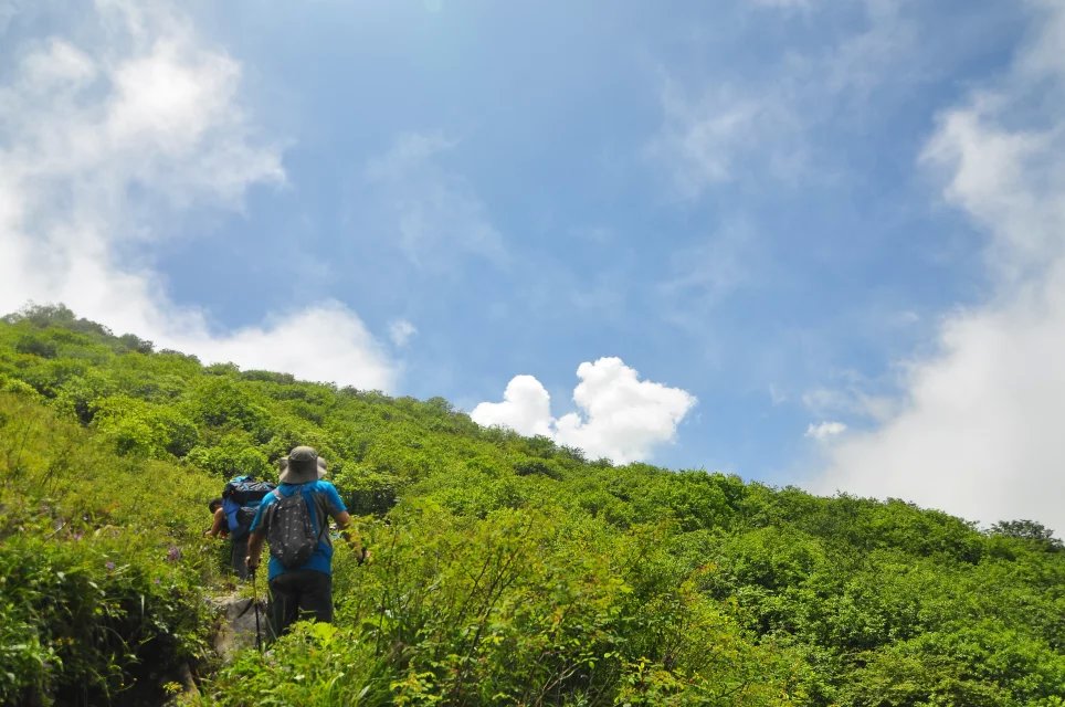 二者分列九頂山主峰獅子王峰兩側