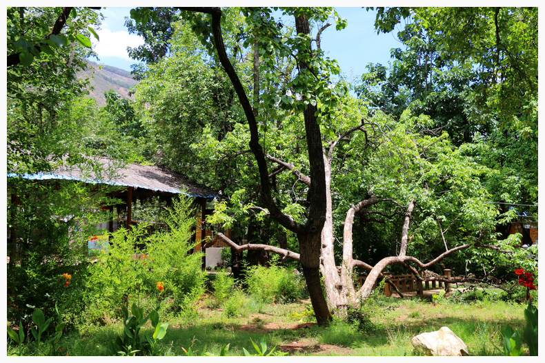 十四,雲南洱源:世外梨園——梨園村,地熱之處——牛街村,洱源自助遊