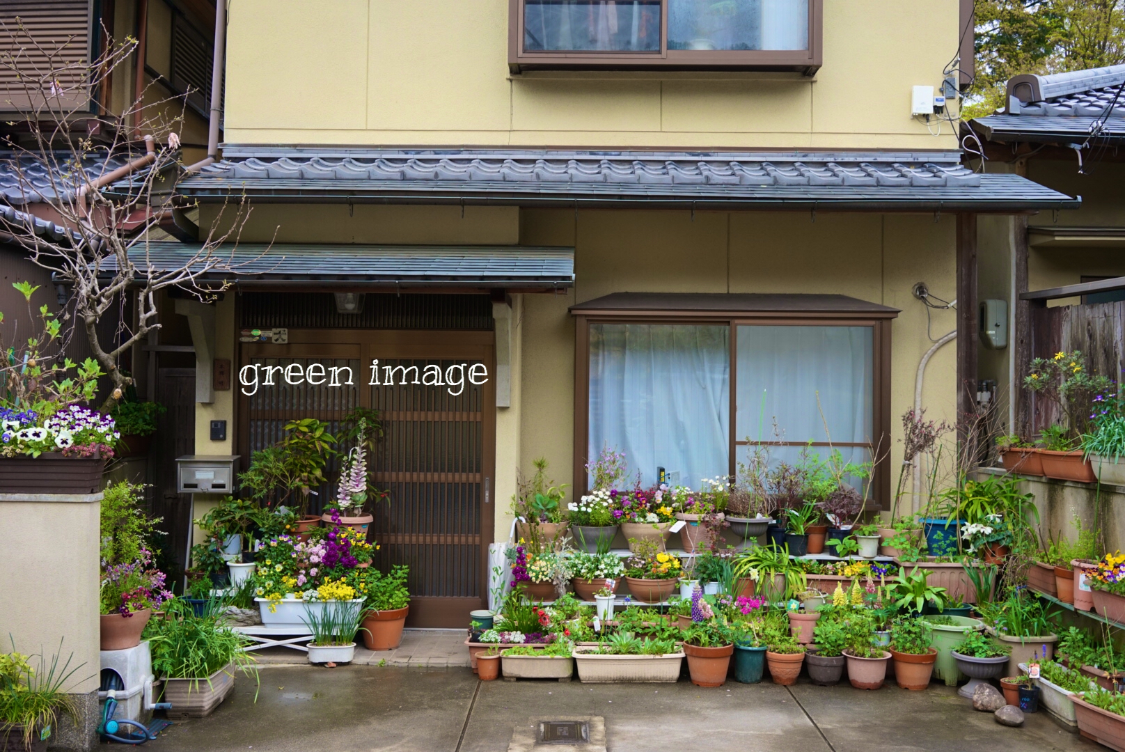 京都自助遊攻略