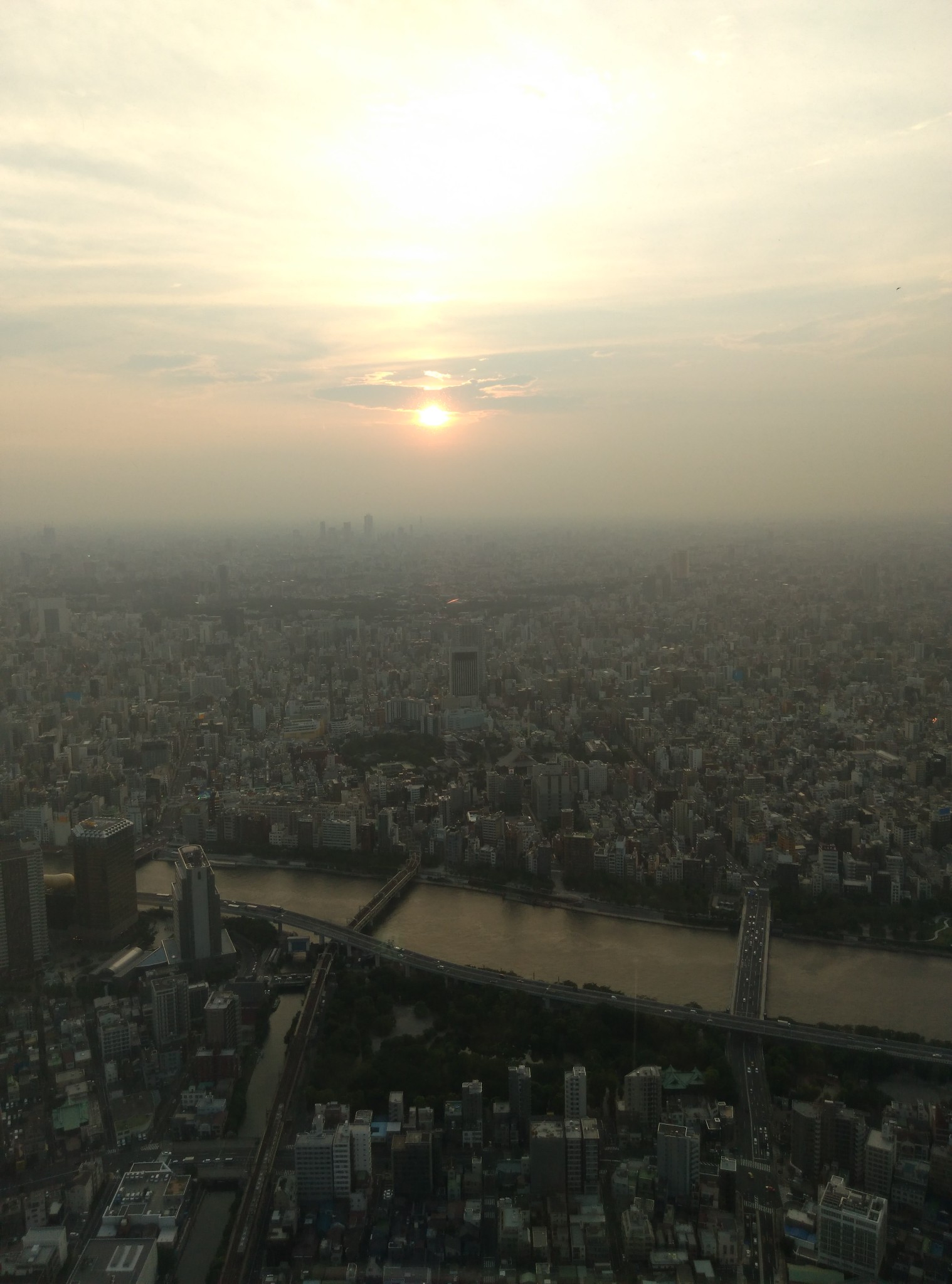 東京自助遊攻略