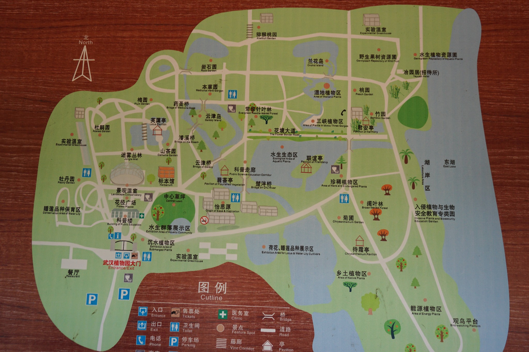 消夏计划炎炎夏日游武汉植物园