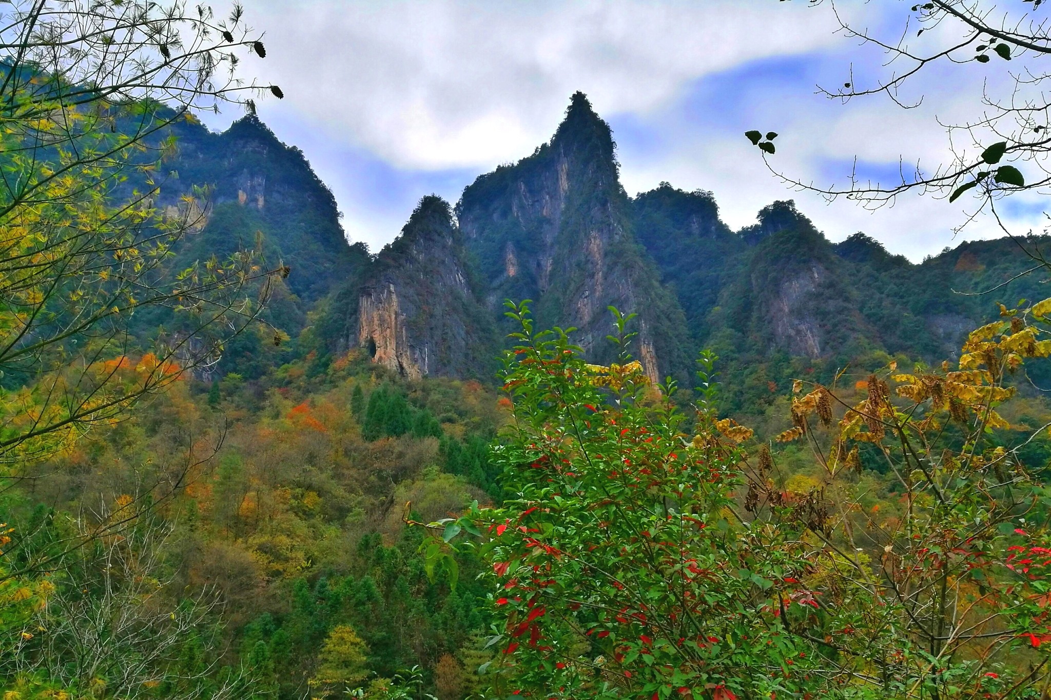 光霧山:桃園秋浩蕩 萬葉醉西風,南江旅遊攻略 - 馬蜂窩