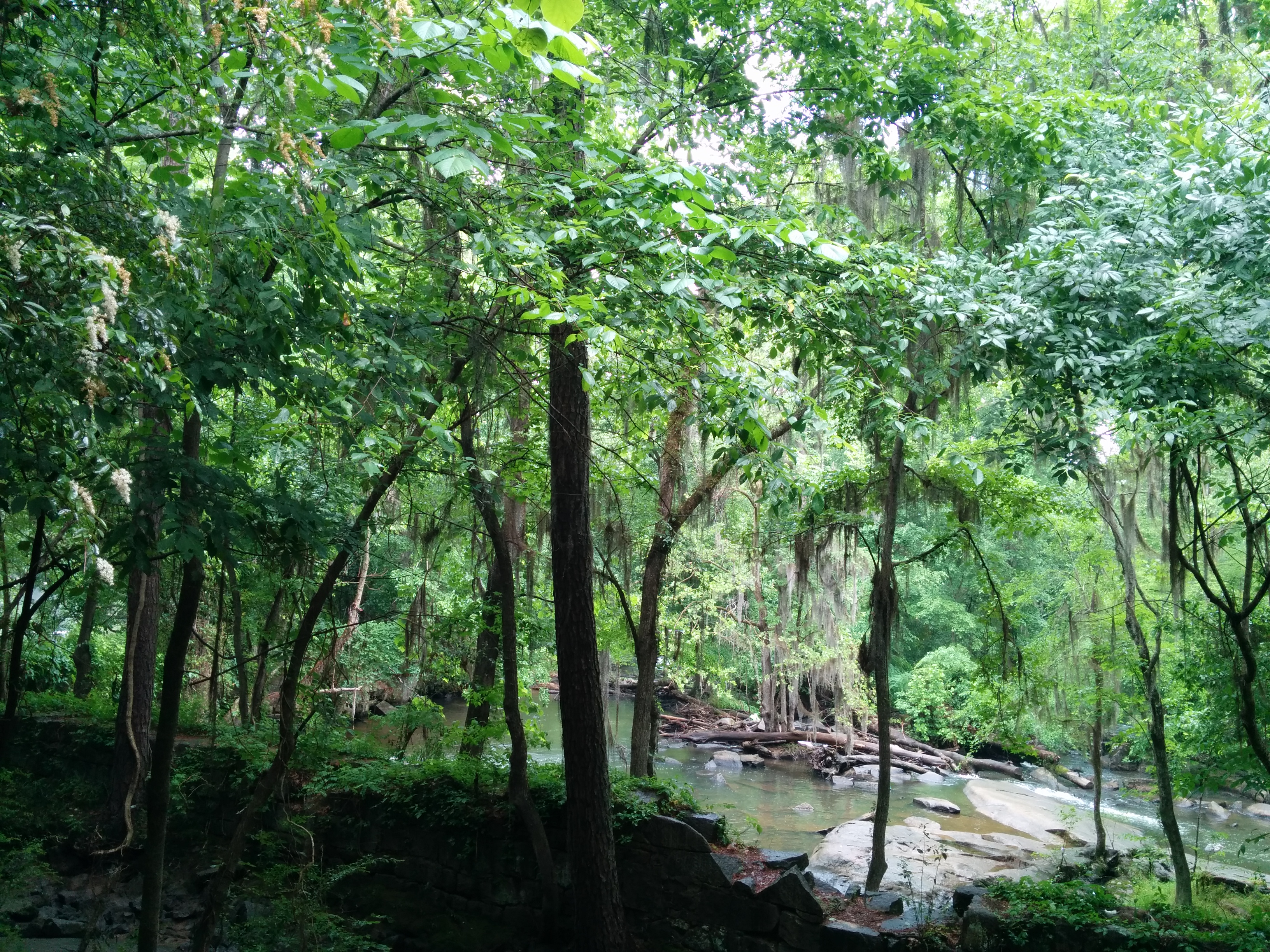 南卡罗来纳-哥伦比亚娱乐-Riverbanks Zoo and Botanical Garden