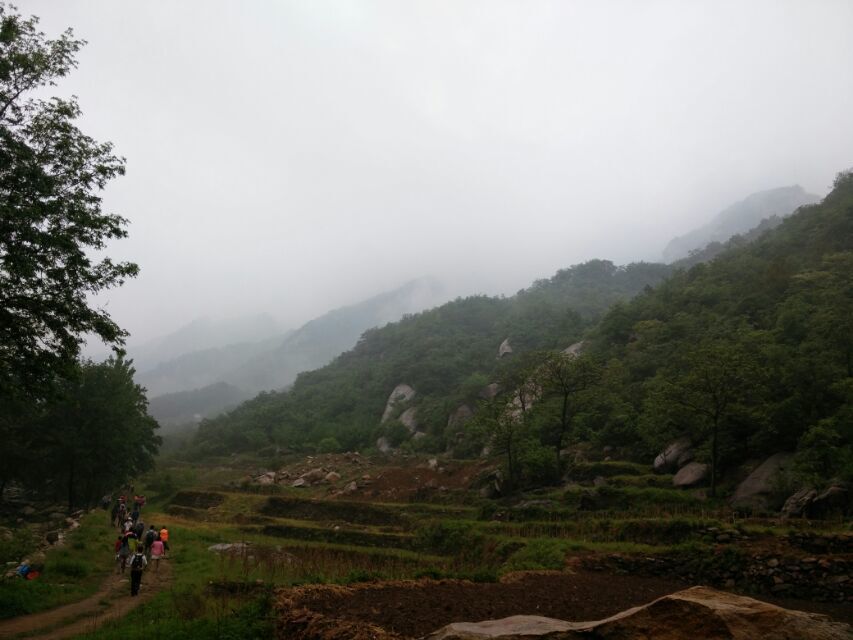 【平顶山市图片】雨中行