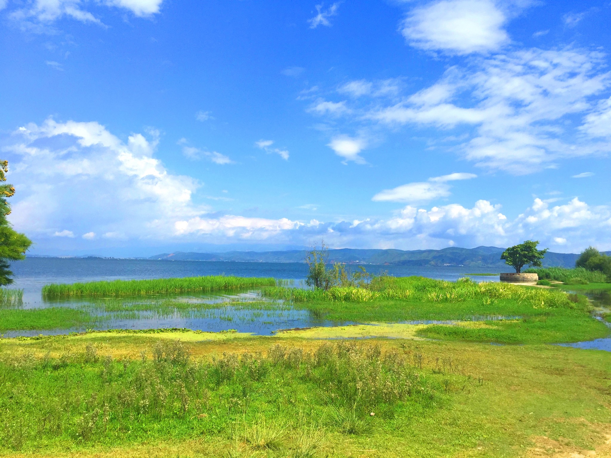 雲南美·小白手機記錄篇(大理,麗江)圖片335,瀘沽湖旅遊景點,風景名勝