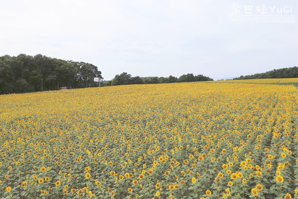 潜派旅行