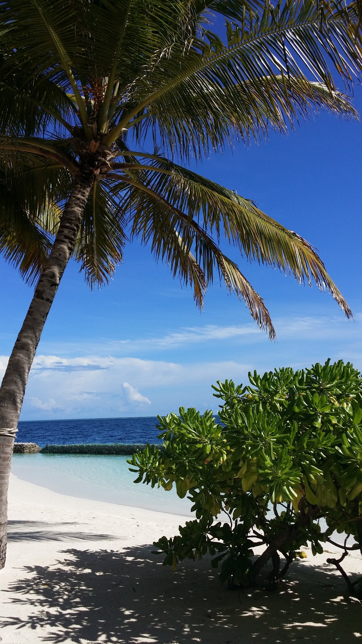 maldives圆梦之旅——2015年5月25日,马尔代夫旅游攻略 - 马蜂窝