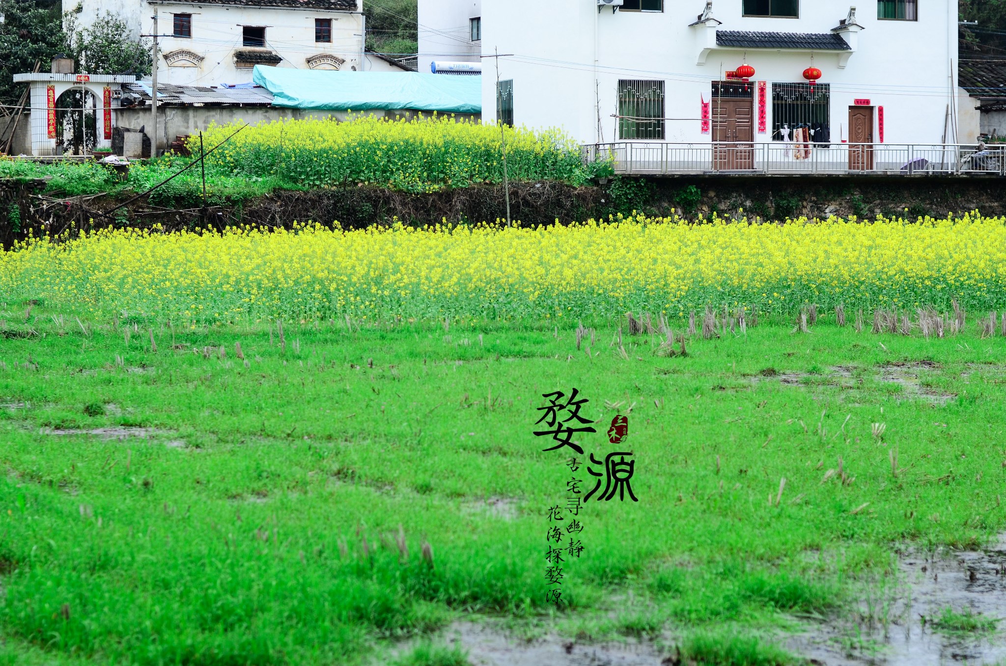 婺源自助遊攻略