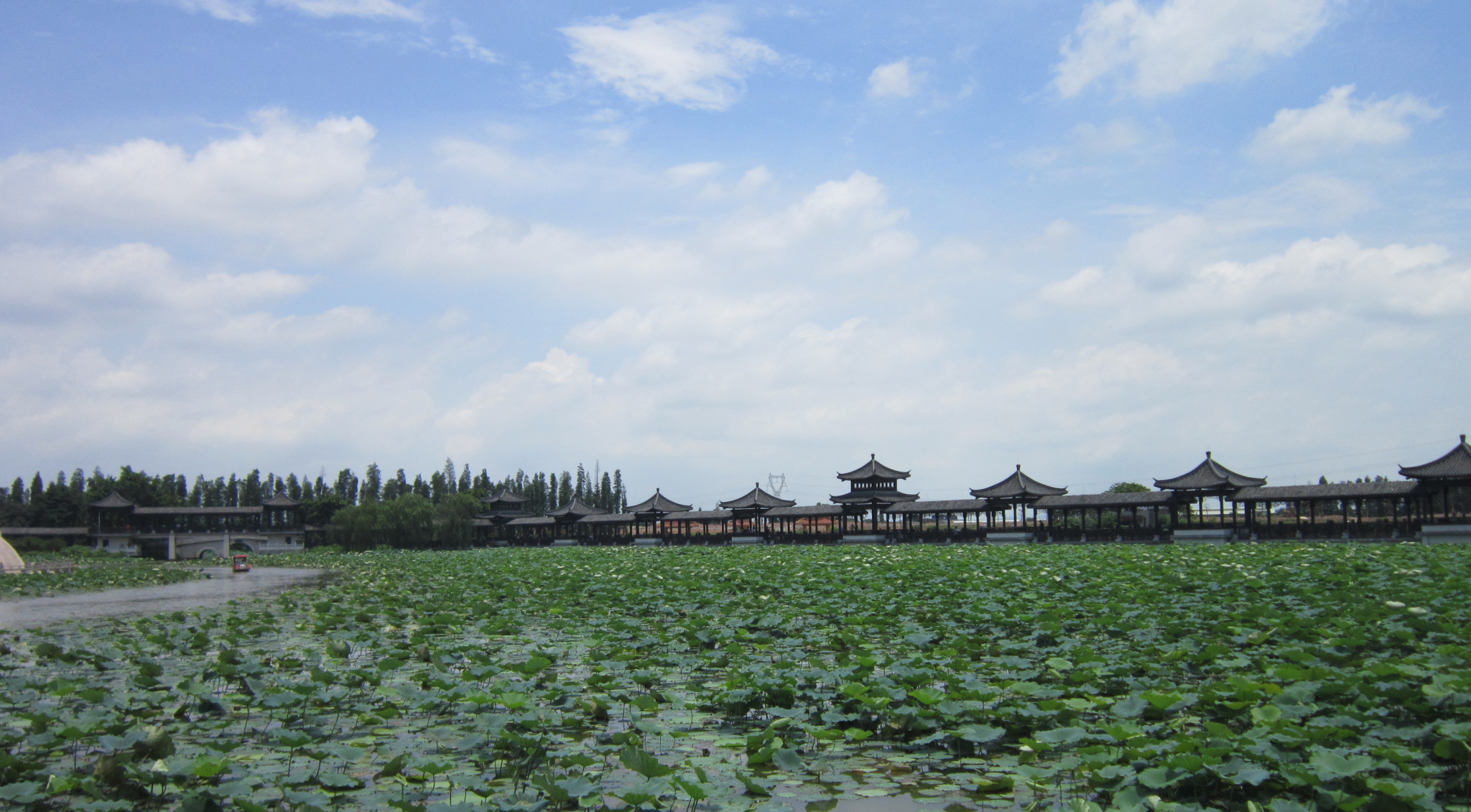 荷花世界：三水荷花世界坐落于佛山市三水区西...