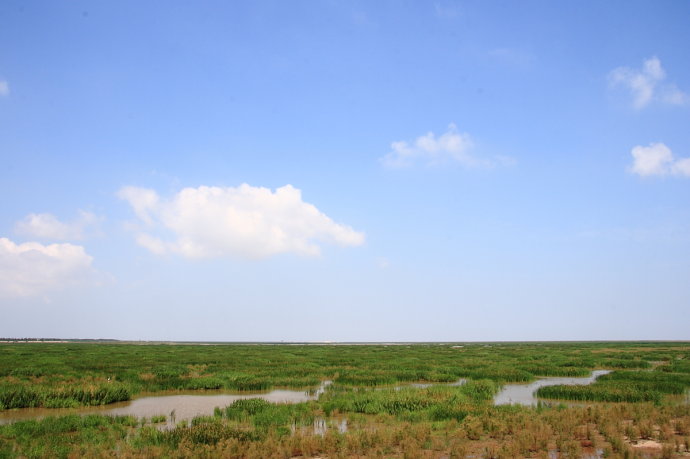 上海橫沙島戶外遊玩