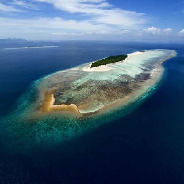 飞鱼带你玩海岛