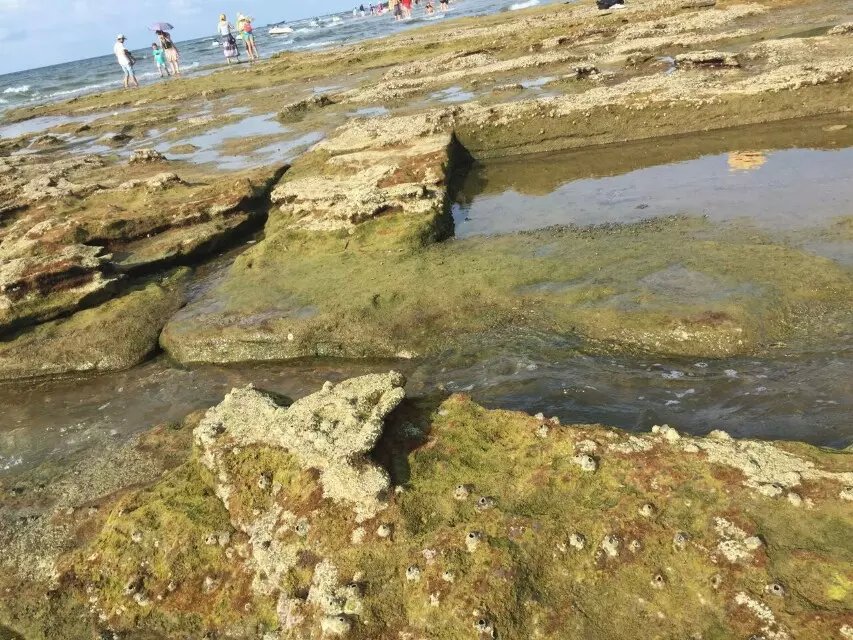 海的味道-北海涠洲岛自由行