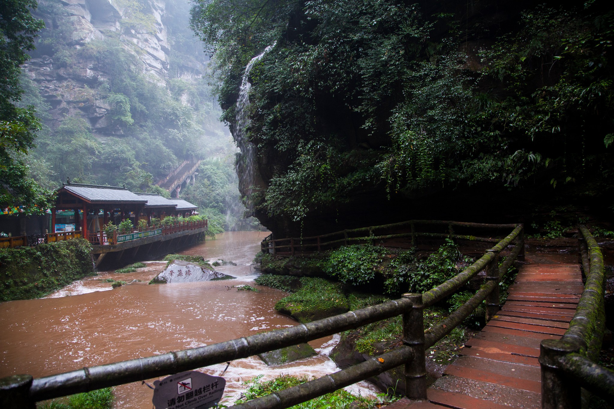 雅安碧峰峽兩日遊,雅安旅遊攻略 - 馬蜂窩