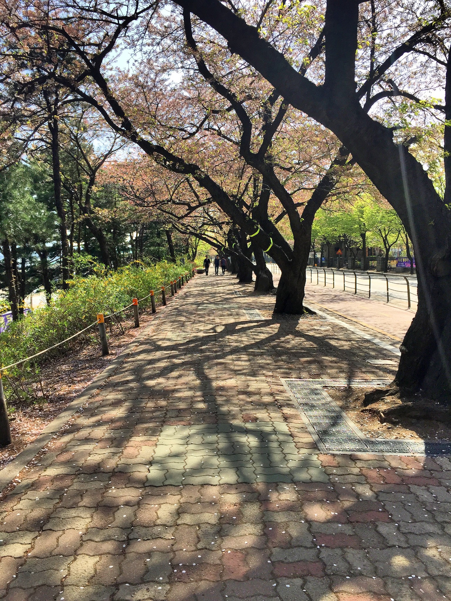 汝矣岛地铁站(2)汝矣岛-林荫路接下来的行程都是跟在韩国留学的小伙伴