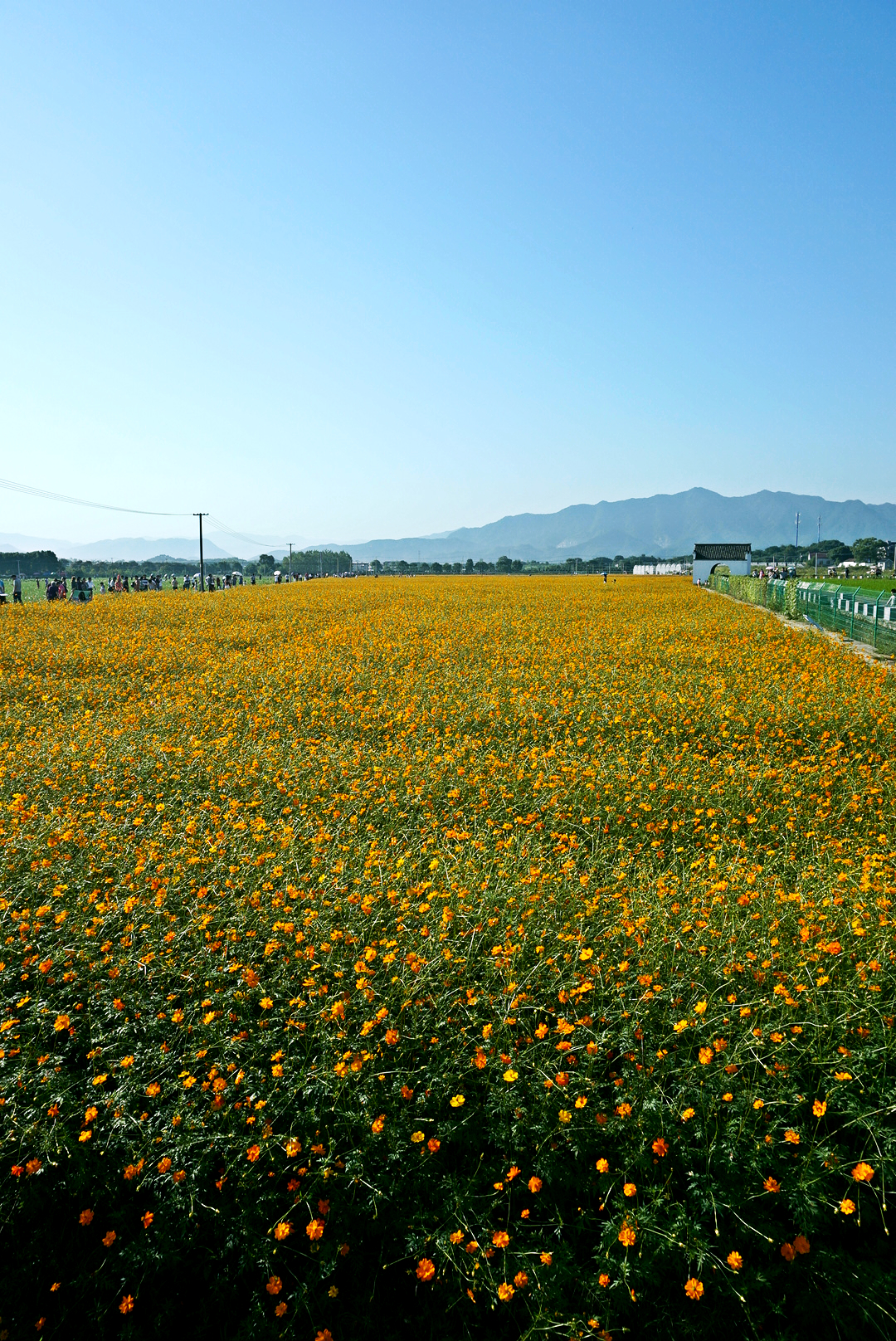 day1:出發直奔桐廬 荻浦花海 深澳古村 清蓮環溪人均費用/1500rmb人物