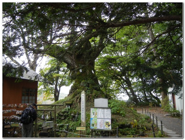 上信越高原国立公园碓冰峠攻略 上信越高原国立公园碓冰峠门票 地址 上信越高原国立公园碓冰峠景点攻略 马蜂窝
