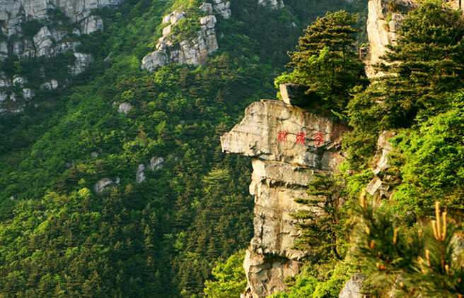 锦绣谷(王安石"还家一笑即芳晨,好与名山作主人)