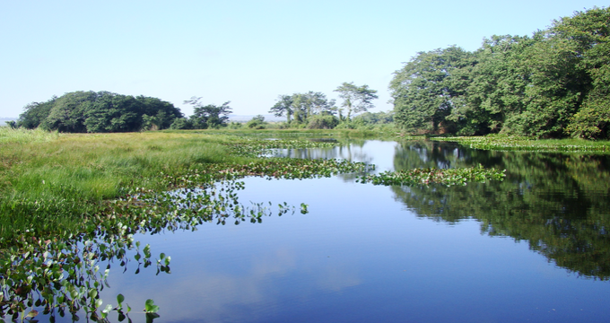 Pacaás Novos National Park