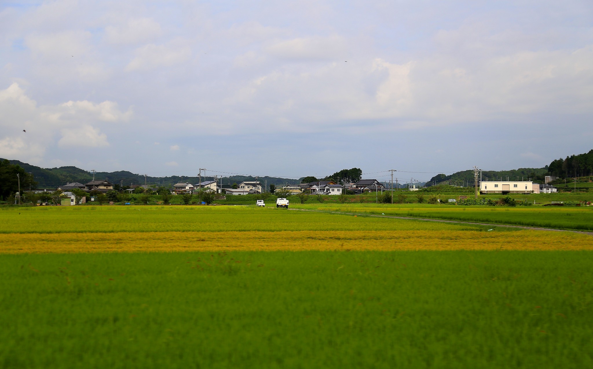 京都自助遊攻略