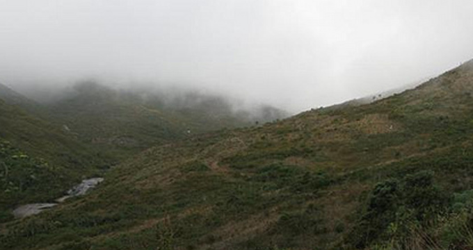 Pico da Neblina National Park