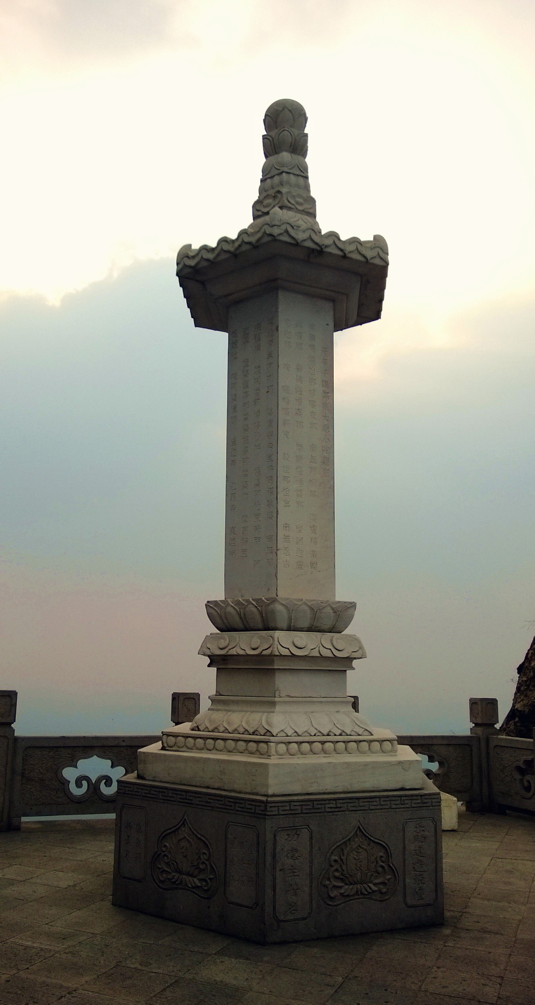 大禹陵百鸟乐园!