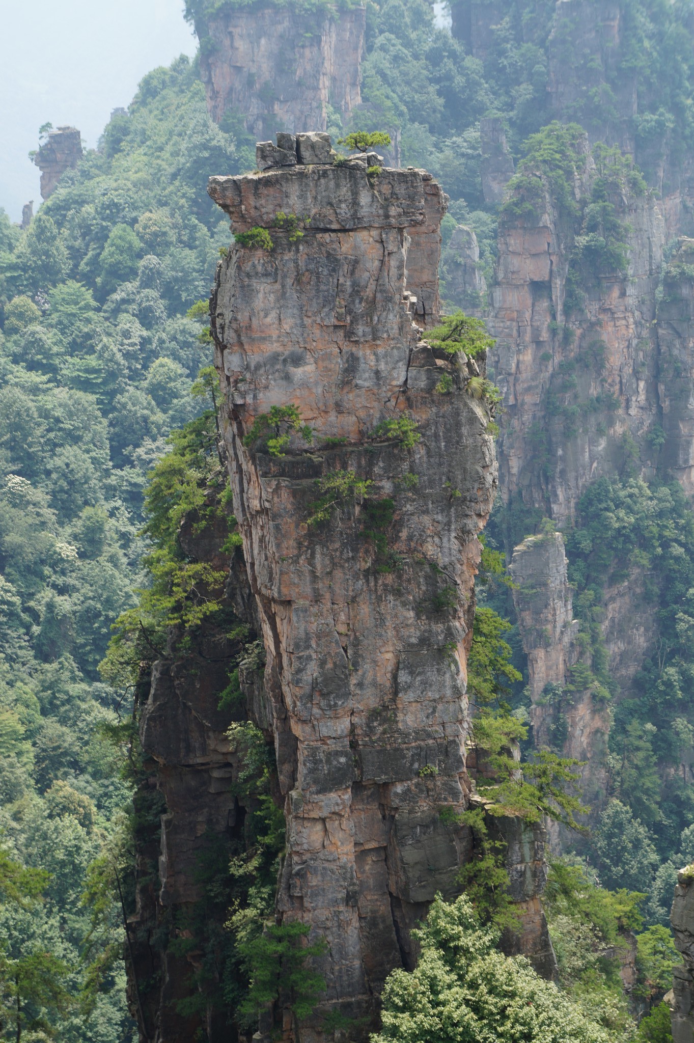 wKgBpVUyipOAfgYaAA5sBOCoPpQ30.jpeg?imageView2%2F2%2Fw%2F680%2Fq%2F90%7CimageMogr2%2Fstrip%2Fquality%2F90