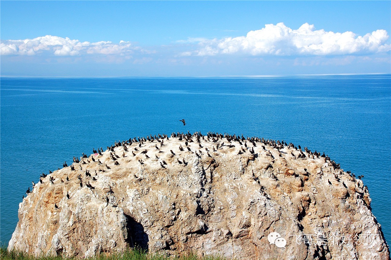 青海湖環騎攻略,青海湖旅遊攻略 - 馬蜂窩