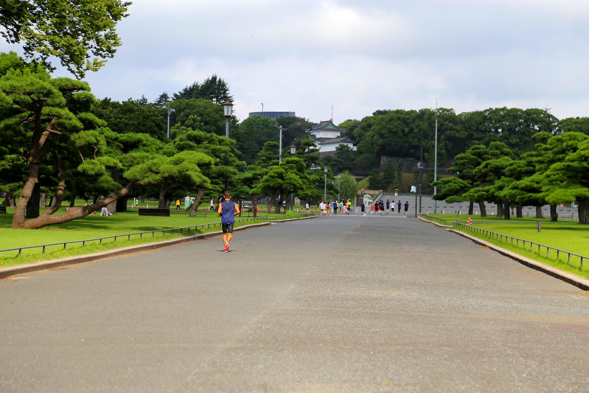 京都自助遊攻略