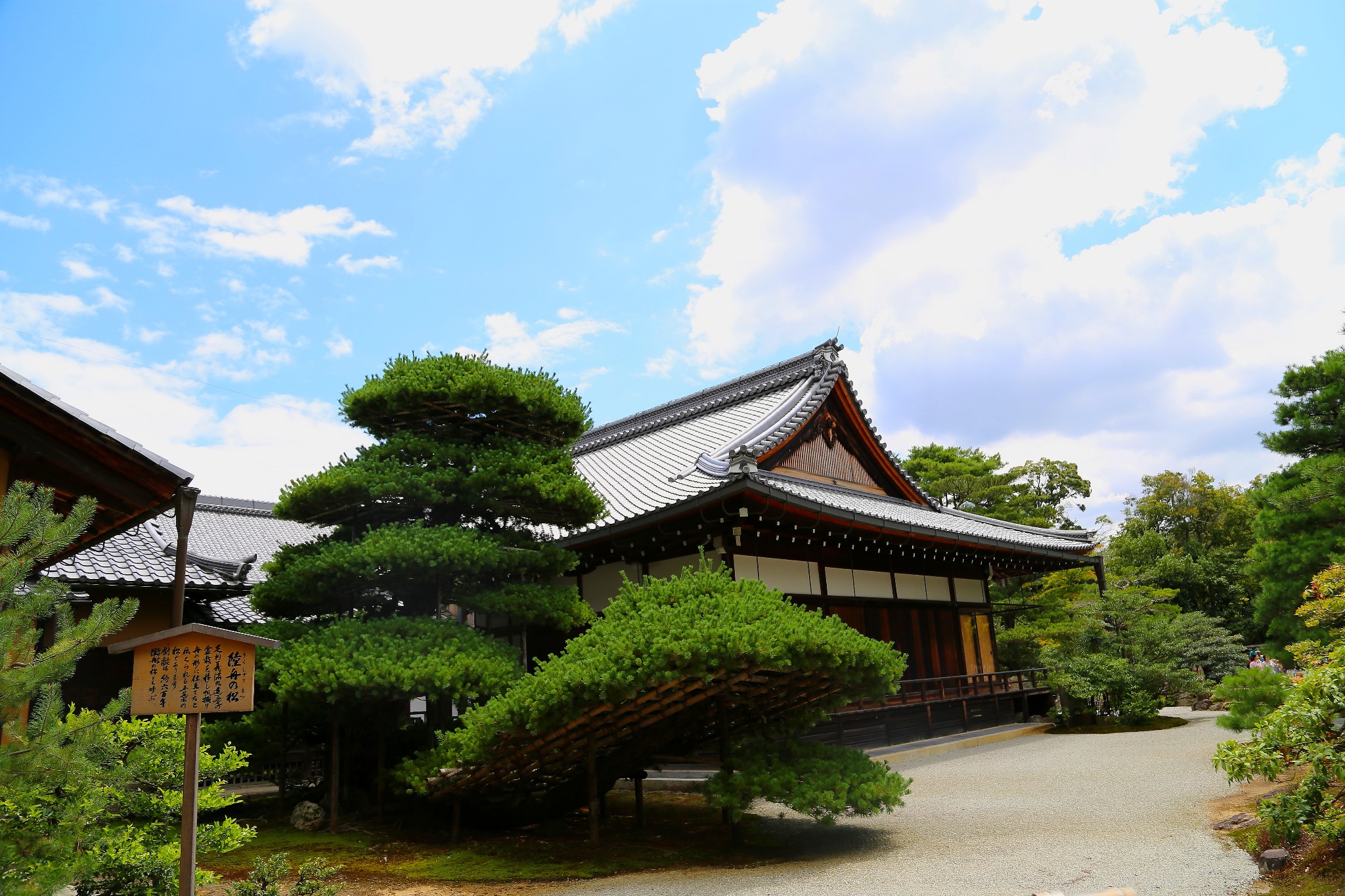 京都自助遊攻略