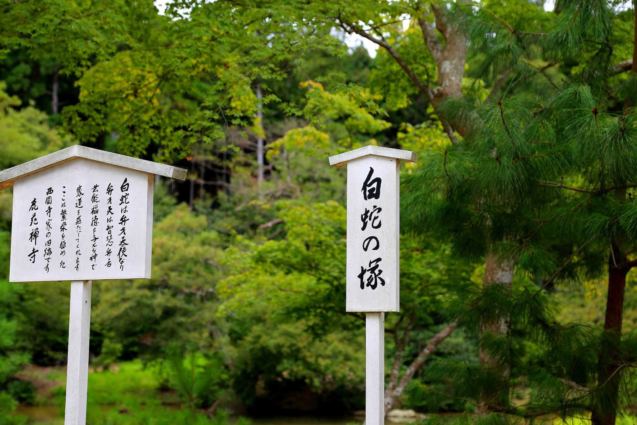 京都自助遊攻略