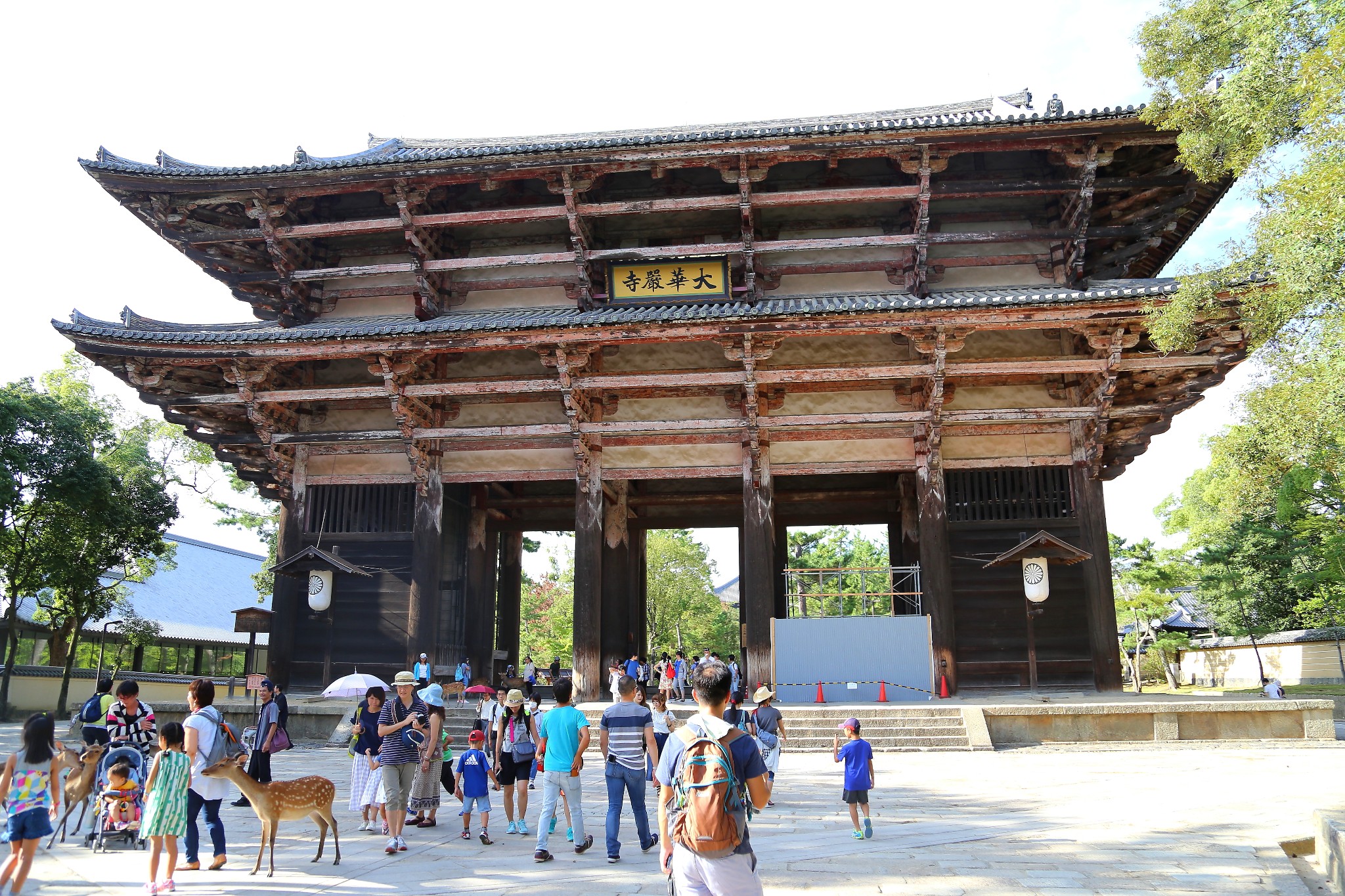 京都自助遊攻略