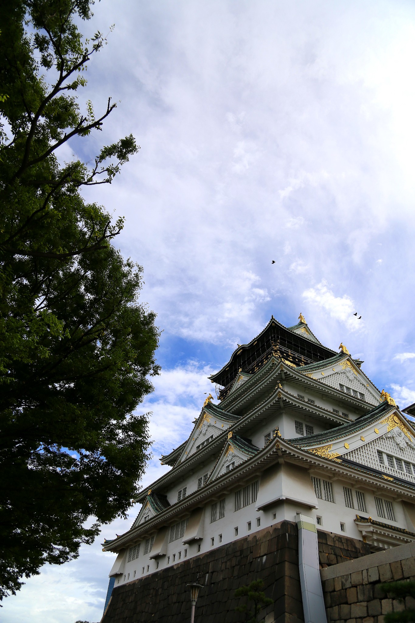 京都自助遊攻略