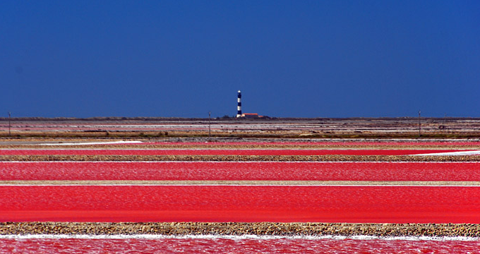 Salin-de-Giraud