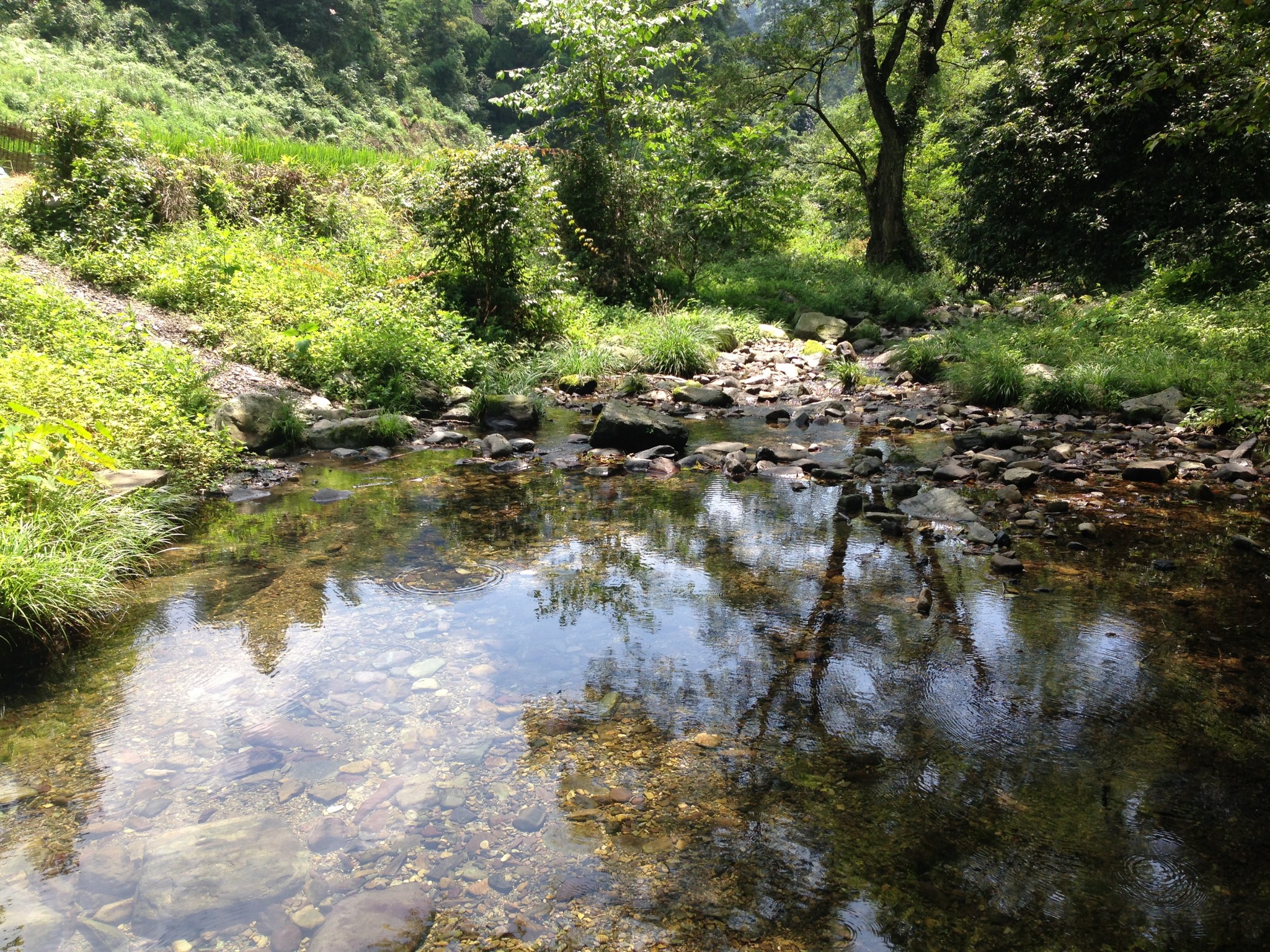 湘西自助遊攻略