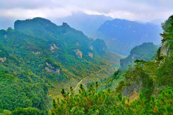 光霧山:桃園秋浩蕩 萬葉醉西風,南江旅遊攻略 - 馬蜂窩