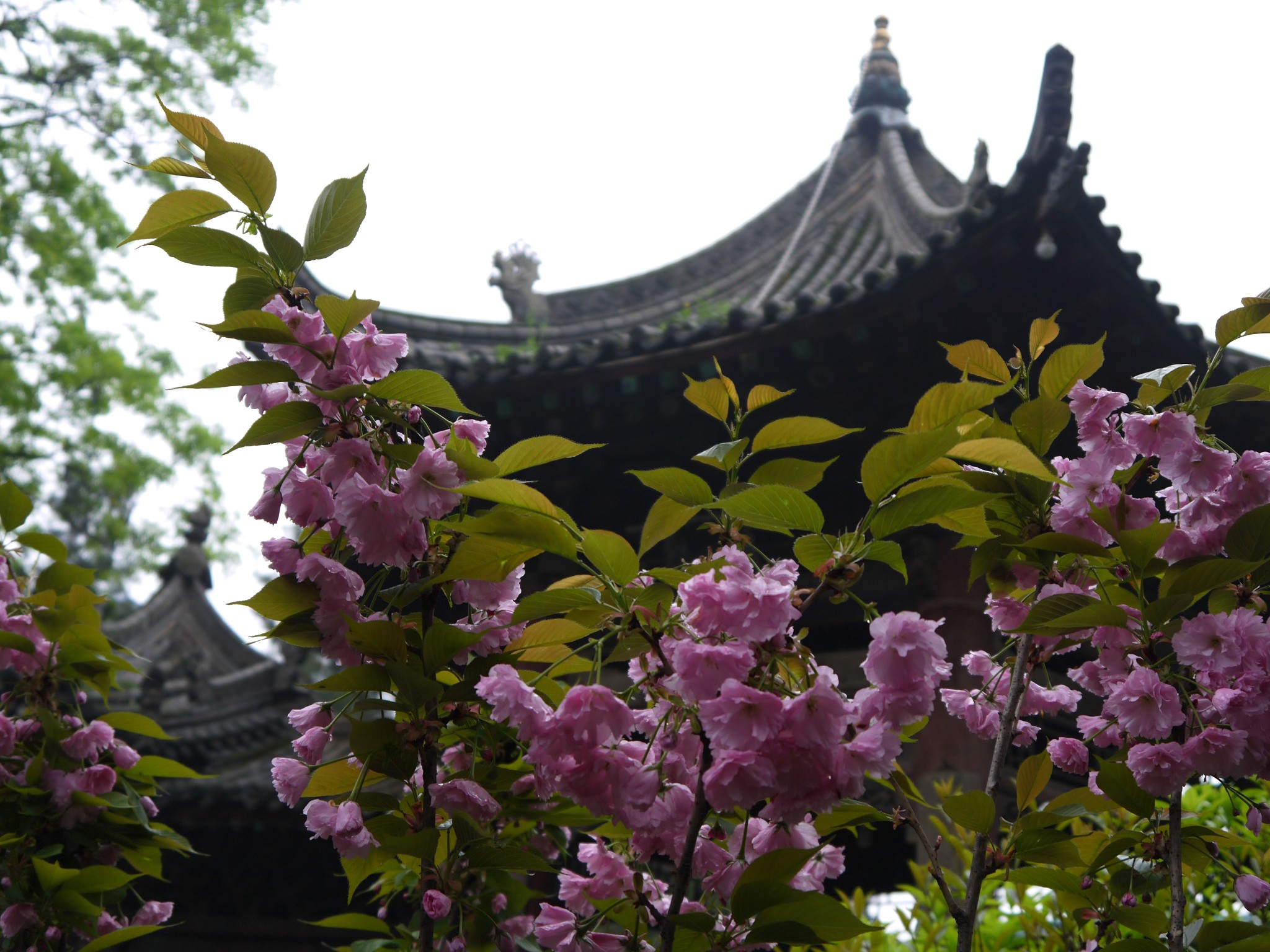 化觉巷清真大寺