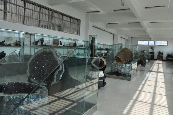 平邑自然博物馆图片