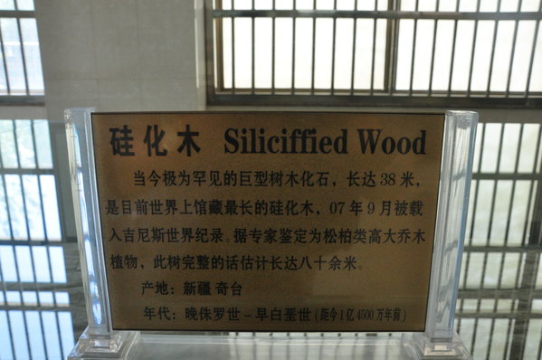 在房间里休息到2点半,然后乘2路车到火车站,下午3点30分k1450次列车