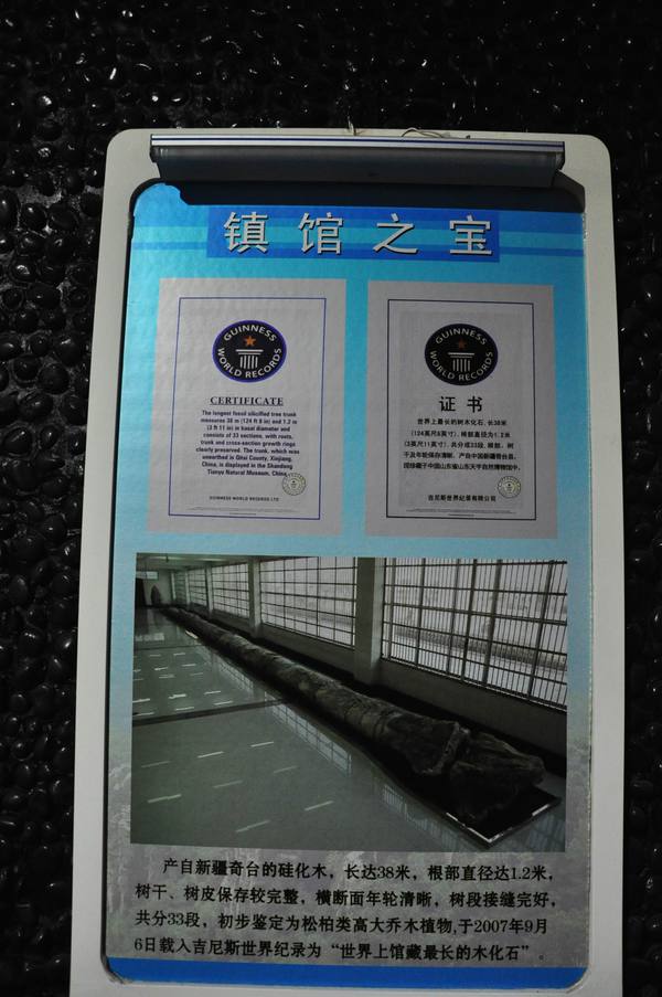 在房间里休息到2点半,然后乘2路车到火车站,下午3点30分k1450次列车