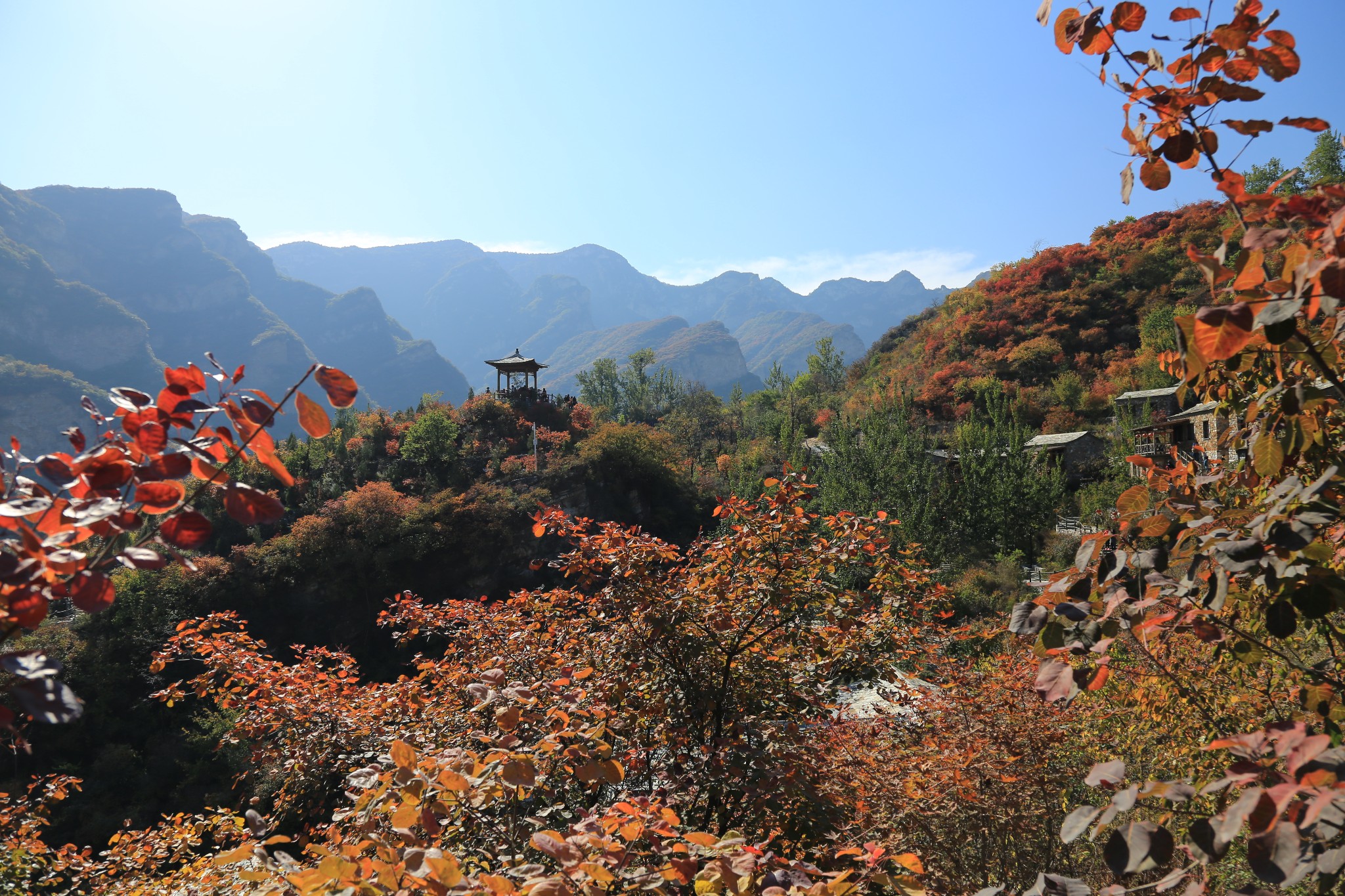 霜葉紅於二月花坡峰嶺一日遊