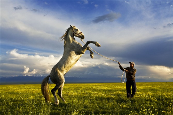 喝最烈的酒,骑最烈的马,邂逅最烈的姑娘,小伙子