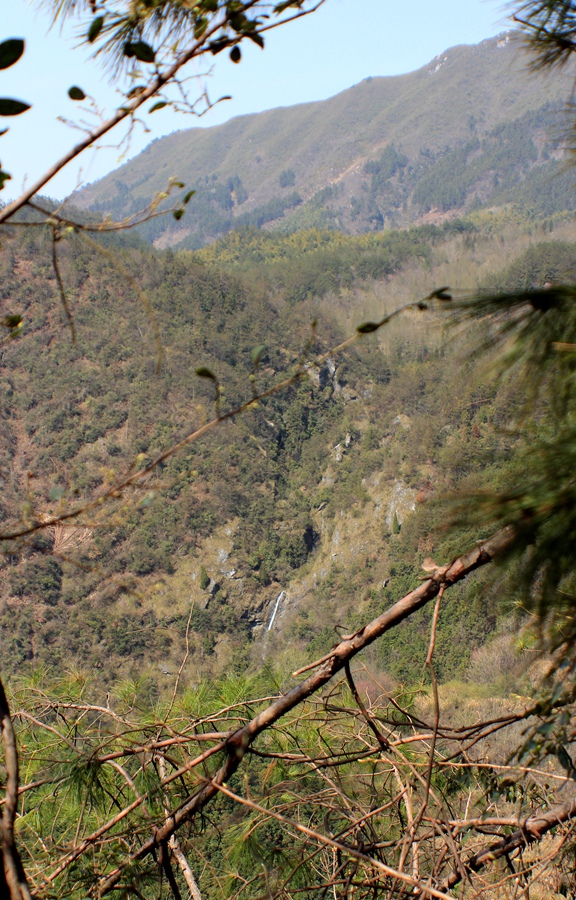 穿越绩溪大会山杨林峡谷