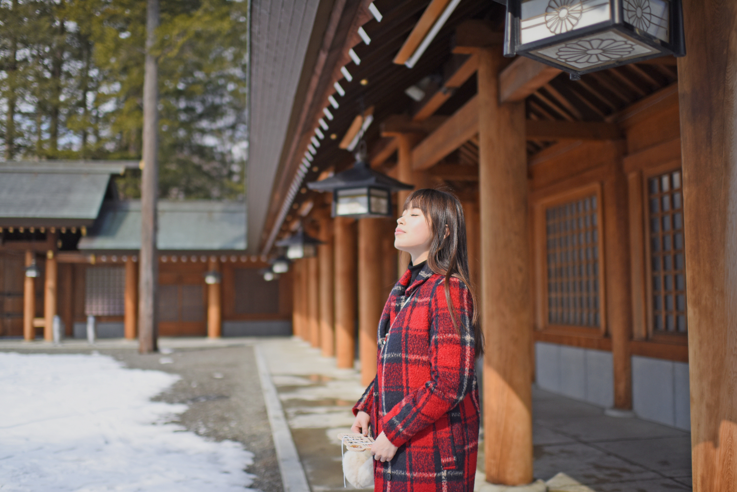 北海道自助遊攻略