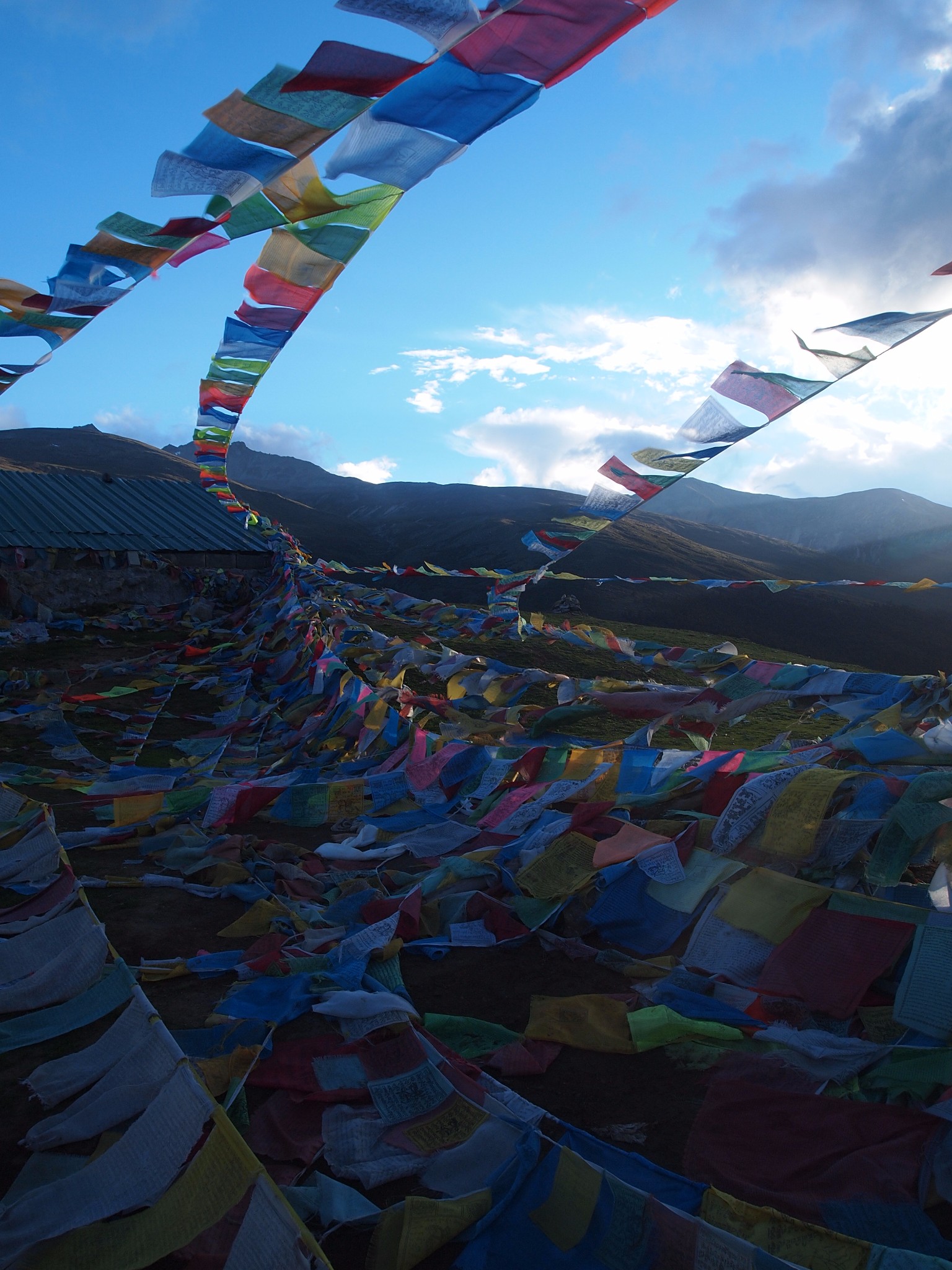 香格里拉我只记得高反的煎熬