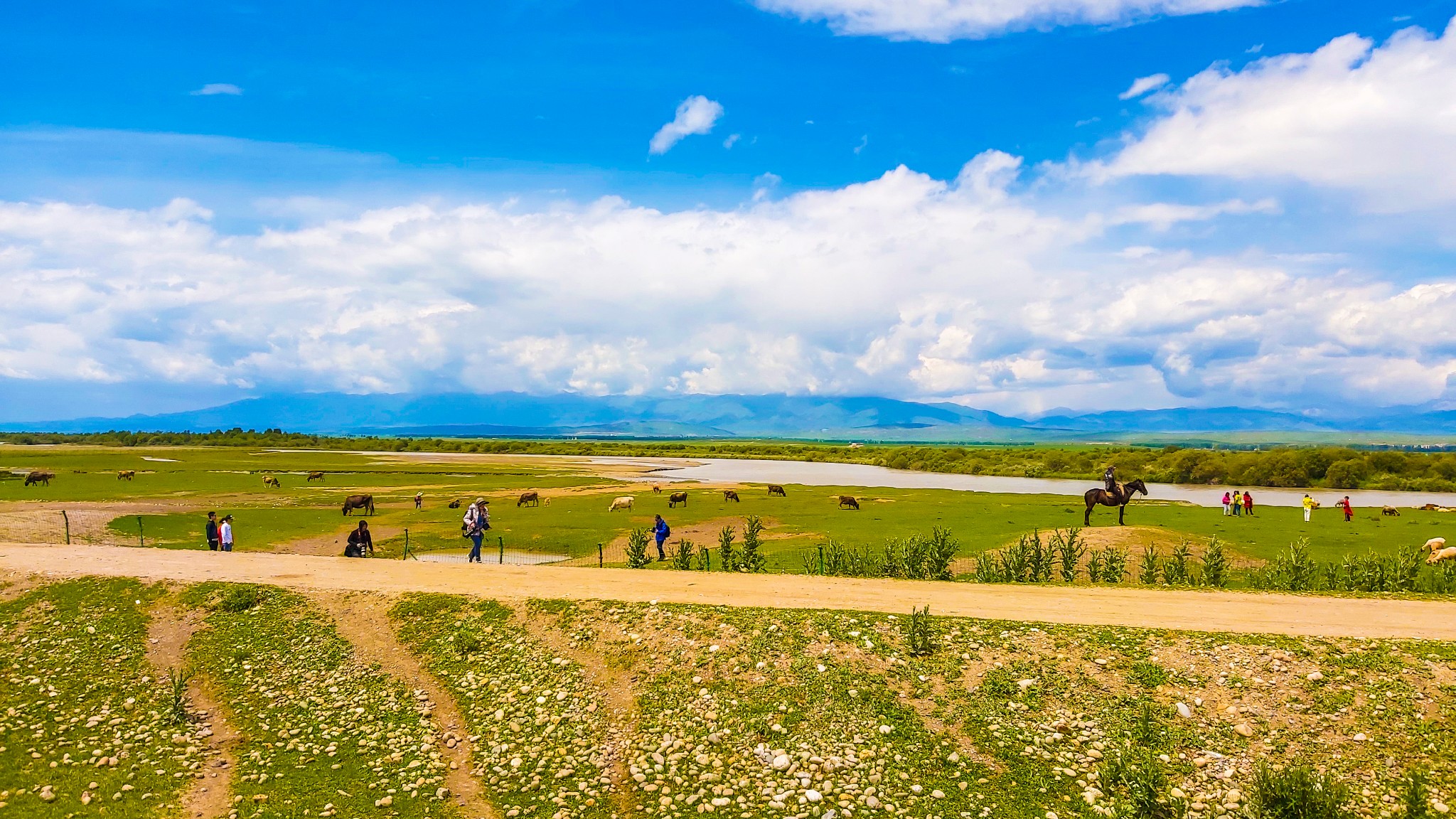 隨心·新疆大環線自駕遊記之十二·夏塔古道,夏特古道旅遊攻略 - 馬