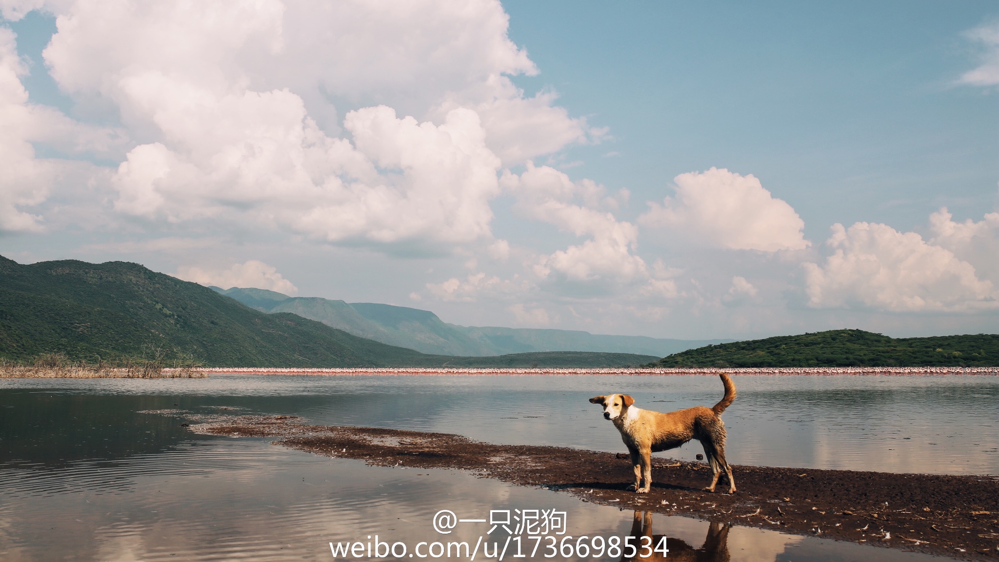 肯尼亞自助遊攻略