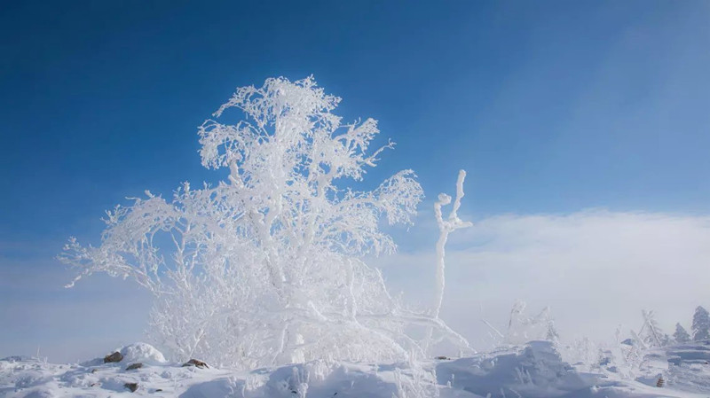 2016元旦牡丹江二浪河中國雪村